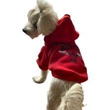 Odi Fashion Kapişonlu Polar Sweatshirt Köpek ve Kedi Kıyafeti