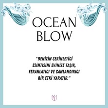 Lil Home Okyanus Esintisi Çubuklu Oda Kokusu Bambu Ocean Blow Reed Diffuser 50 ml