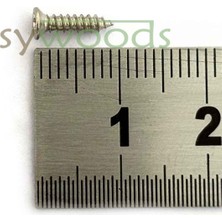 100 ADET  9,5 MM MİNİ HOBİ VİDASI NİKEL