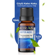 Auran  Nane ve Okaliptüs Esansiyel Uçucu Koku Yağı Buhurdanlık Yağı Difüzör Esansı Küre 10 ml