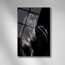 Trenddecors Karanlıktaki Siyah At Cam - 40X60