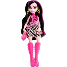 Monster High Gizemli Arkadaşlar 3.seri Draculaura HNF78