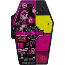 Monster High Gizemli Arkadaşlar 3.seri Draculaura HNF78
