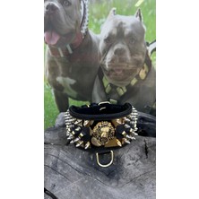 Ac Leather Ac Collars Extreme Deri Köpek Boyun Tasması