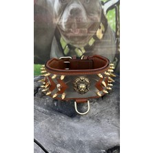 Ac Leather 8 cm Deri Köpek Boyun Tasması