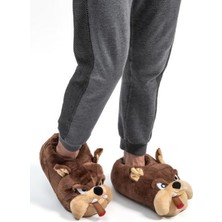 Twigy Bulldog Erkek Panduf Kahverengi 41/46