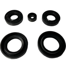 Atl Cg 125 Serisi Keçe Takımı Cg 150 Serisi (5 Li Set)