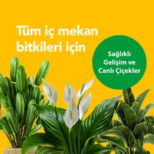 PetroTurk Kullanıma Hazır İç Mekan Sıvı Bitki Besini - Sağlıklı Büyüme ve Canlı Yapraklar İçin Besleyici Bitki Besini Çiçekleri Koruyan Formül 250 ml