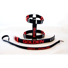 Golden Kolon Tasma ve Gezdirme Set