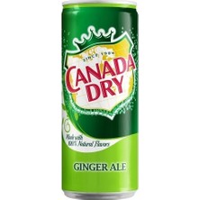 Canada Dry Ginger Ale 2'li Paket