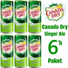 Canada Dry Ginger Ale 6'lı Paket