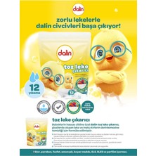 Dalin Toz Leke Çıkarıcı 500 gr