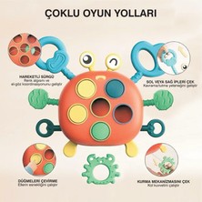 Yengeç Şekilli Montessori Duyusal Gözlem Beceri Geliştirme Eğitici Oyuncağı