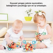 Yengeç Şekilli Montessori Duyusal Gözlem Beceri Geliştirme Eğitici Oyuncağı