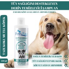 Pets Fav Tüy Sağlığını Destekleyen Derin Temizleyici Organik ve Doğal Köpek Şampuanı