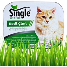 Quik Gerçek Topraklı Kedi Çimi