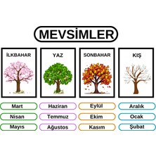 Mevsim Eğitici Tablo 35X50 cm Bristol Baskı 02