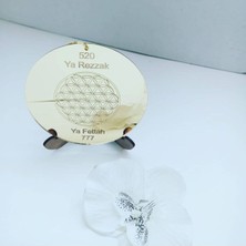 Chirpy Altın Pleksi Yaşam Çiçeği 3'lü Set