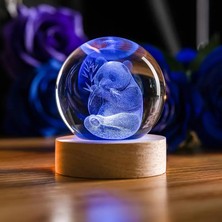 Keyfim Shop Isme Özel Büyük Boy Renkli Işıklı Ahşap Kaideli Panda Temalı Cam Küre 8cm