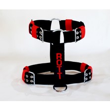 AC Collars Rotweıler Kolon Köpek Gezdirme Set