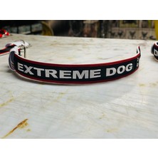 AC Collars Extreme Dog Kolon Köpek Boyun Tasması