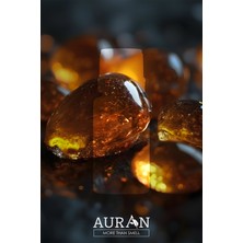 Auran Amber Saf Esansiyel Uçucu Yağ Buhurdanlık Yağı Difüzör Esansı Aromaterapi Ortam Koku Yağı 10ml