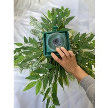 Zb Flowers Yapay Gelin Araba Süsü Masa Çiçeği Dekor Çiçeği Araba Çiçeği Organizasyon Çiçeği Yapay  Tag Çiçeği