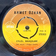 Ahmet Özhan - Artik Bu Solan Bahçede Eylül Bahçeleri 45'lik - Plak