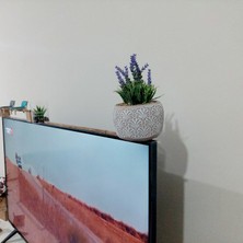 Objevi Saksılı Yapay Kır Lavantası