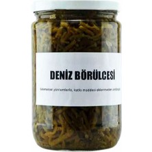 Gurmezza Deniz Börülcesi Turşusu (710 gr net)