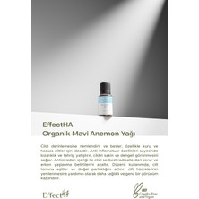 EffectHA Organik Mavi Anemon Yağı 10ml