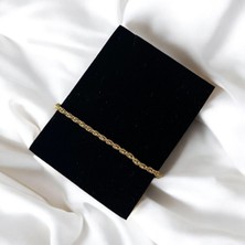 Asteria Jewelry Unisex Burgu Çelik Bileklik