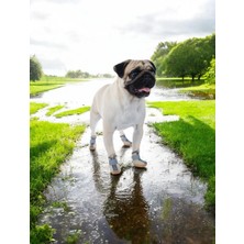 Köpek Ayakkabısı-Kahverengi Köpek Ayakkabısı-Kaydırmaz Kauçuk Taban Köpek Ayakkabısı- Reflektörlü,fermuarlı Köpek Ayakkabısı