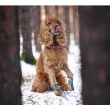 Köpek Ayakkabısı-Kahverengi Köpek Ayakkabısı-Kaydırmaz Kauçuk Taban Köpek Ayakkabısı- Reflektörlü,fermuarlı Köpek Ayakkabısı
