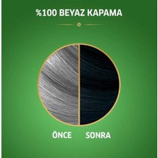 Naturals Saç Boyası Böğürtlen Siyahı 2/8 - MCT4252-4758