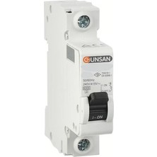 Günsan V Otomat 20 Amp
