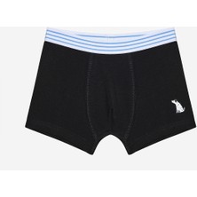 Penti Erkek Çocuk Family Dog 2li Çok Renkli Boxer