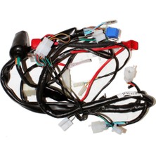 Motobir Elektrik Tesisatı Mondial Drift 125 Mh