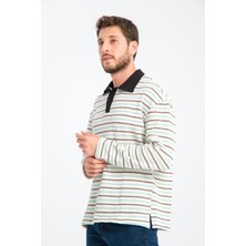 R-5839 Polo Yaka Uzun Kol Çizgili Örme Sweat
