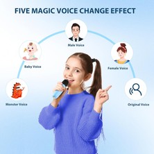 Global Essentials 2 Mikrofonlu Karaoke Oyuncak Bluetooth Hoparlör (Yurt Dışından)