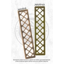 Dekoratif Pleksi Ayna / Koltuk Klapa Desen 2 Adet