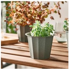 IKEA Buskverk Gri Yeşil 9 cm Çelik Saksı