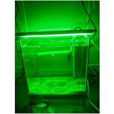 Akvaryum ve Araç Içi LED Aydınlatma, 25 Cm, Yeşil, 12 Volt Adaptör Ile Birlikte