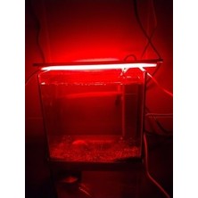 Akvaryum ve Araç Içi LED Aydınlatma, 25 Cm, Kırmızı, 12 Volt Adaptör Ile Birlikte