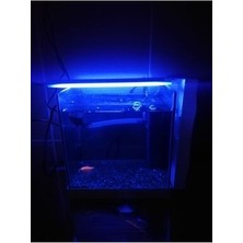Akvaryum ve Araç Içi LED Aydınlatma, 25 Cm, Mavi, 12 Volt Adaptör ile Birlikte