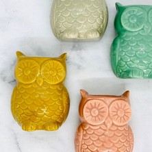 Warm Design Mıknatıslı Mini Baykuş Saksı