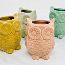 Warm Design Mıknatıslı Mini Baykuş Saksı
