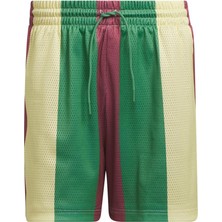 Adidas Aop Short Erkek   Şort IY7393