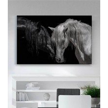 Prime Concept Siyah Beyaz At Kanvas Tablo