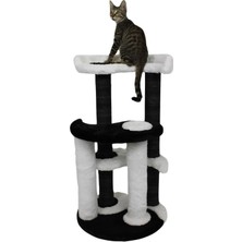 Yinyang Kedi Tırmalaması
